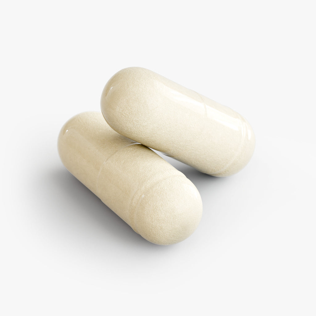 The Shield | 20B CFU Probiotic